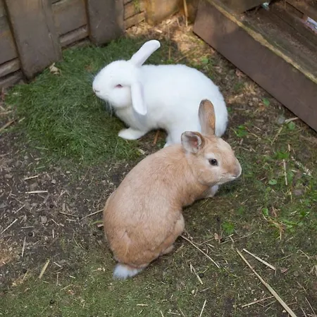 Familiengaestehaus Ingrid Apartmán